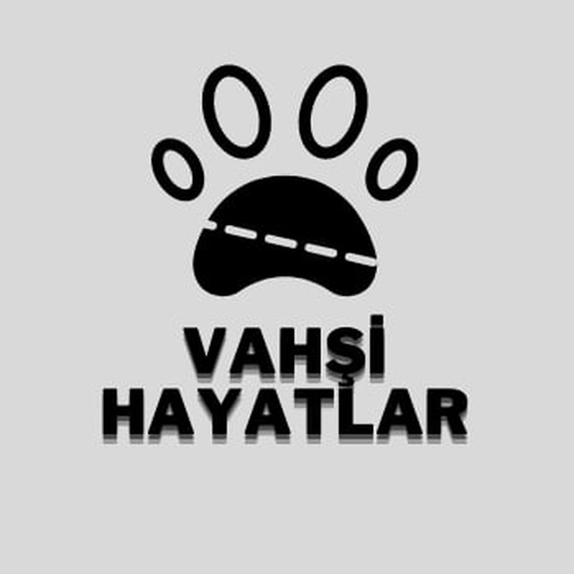 Vahşi Hayatlar